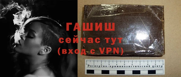 стаф Богородск