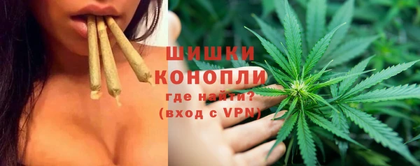 2c-b Богородицк