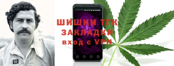стаф Богородск