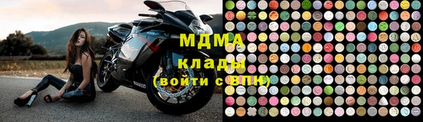 стаф Богородск