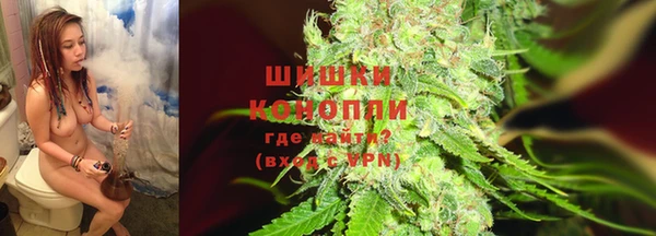 стаф Богородск