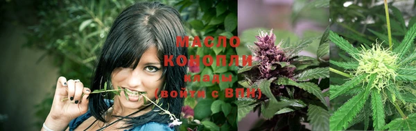 стаф Богородск