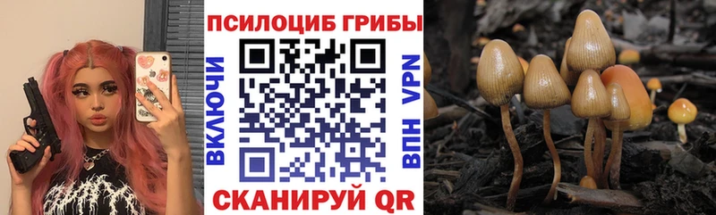 Галлюциногенные грибы мицелий  Купить  Мариинск 